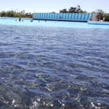 蓮沼ウォーターガーデンに投稿された画像（2020/8/27）