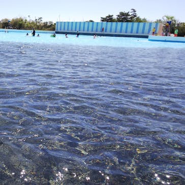 蓮沼ウォーターガーデンに投稿された画像（2020/8/27）