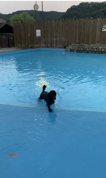 わんダフルネイチャーヴィレッジに投稿された画像（2020/8/25）