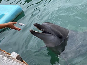 下田海中水族館に投稿された画像（2020/8/27）