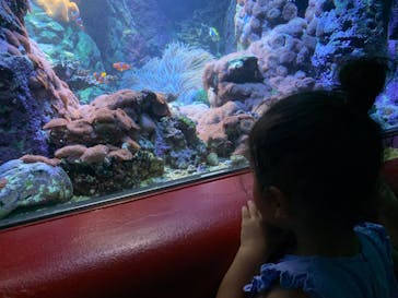 株式会社Gに投稿された画像（2020/8/27）