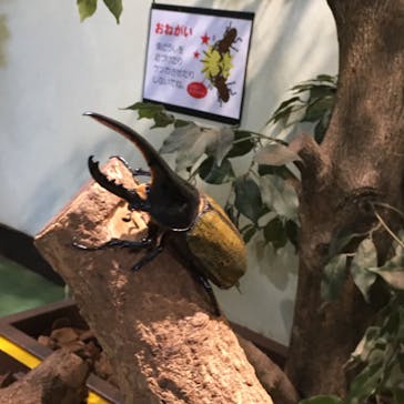 としまえんに投稿された画像（2020/8/27）