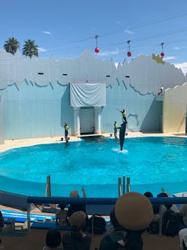 株式会社Gに投稿された画像（2020/8/27）