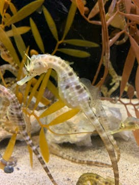 株式会社Gに投稿された画像（2020/8/27）