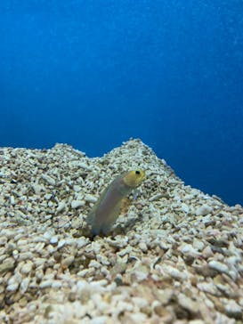 株式会社Gに投稿された画像（2020/8/27）