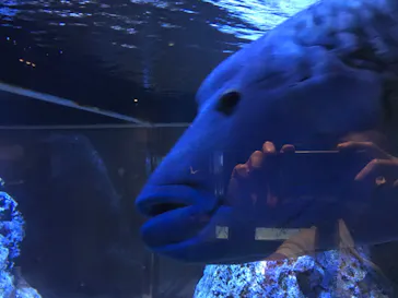 すみだ水族館に投稿された画像（2020/8/27）