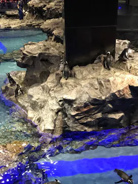 すみだ水族館に投稿された画像（2020/8/27）