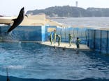 新江ノ島水族館に投稿された画像（2020/8/27）
