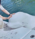 横浜・八景島シーパラダイスに投稿された画像（2020/8/27）