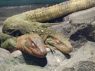 サンシャイン水族館に投稿された画像（2020/8/27）