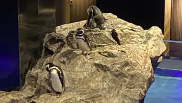 すみだ水族館に投稿された画像（2020/8/27）