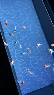 すみだ水族館に投稿された画像（2020/8/27）