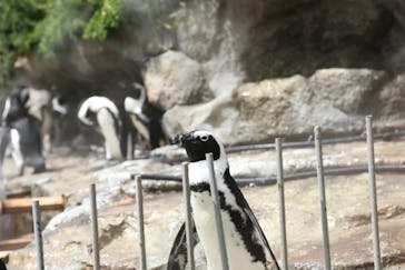 サンシャイン水族館に投稿された画像（2020/8/27）