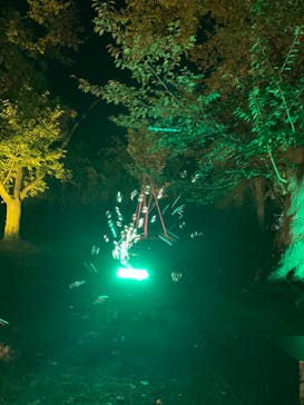 二条城×ネイキッド 二条城夏まつり2021に投稿された画像（2020/8/27）