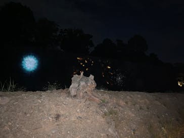 二条城×ネイキッド 二条城夏まつり2021に投稿された画像（2020/8/27）