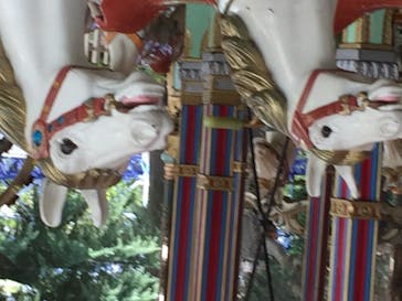 としまえんに投稿された画像（2020/8/28）