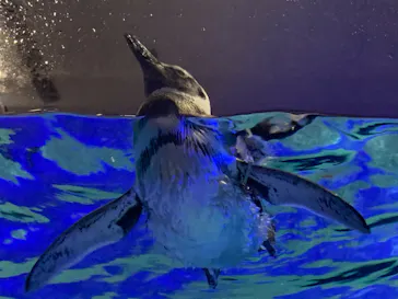 すみだ水族館に投稿された画像（2020/8/28）