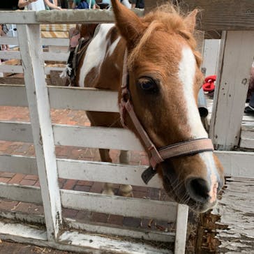 としまえんに投稿された画像（2020/8/28）