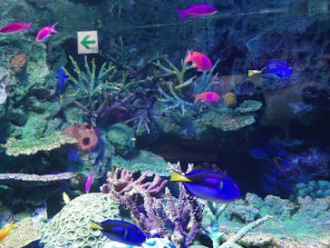 サンシャイン水族館に投稿された画像（2020/8/28）