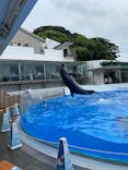 九十九島水族館海きららに投稿された画像（2020/8/28）