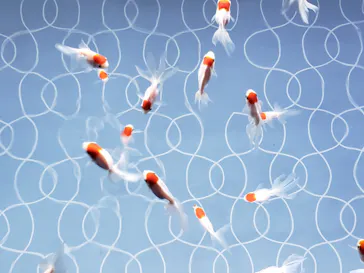 すみだ水族館に投稿された画像（2020/8/28）