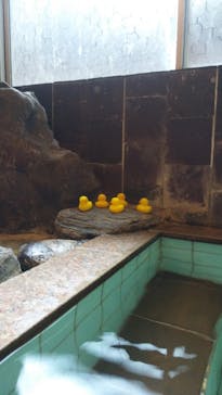 七沢温泉 福元館に投稿された画像（2020/8/28）