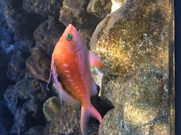 株式会社Gに投稿された画像（2020/8/28）