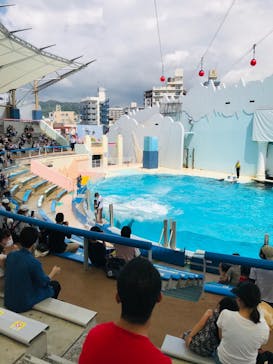 株式会社Gに投稿された画像（2020/8/28）