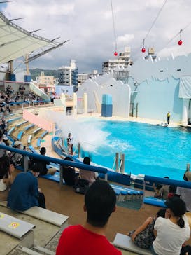 株式会社Gに投稿された画像（2020/8/28）