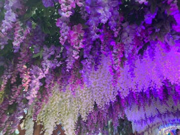 東京サマーランドに投稿された画像（2020/8/28）