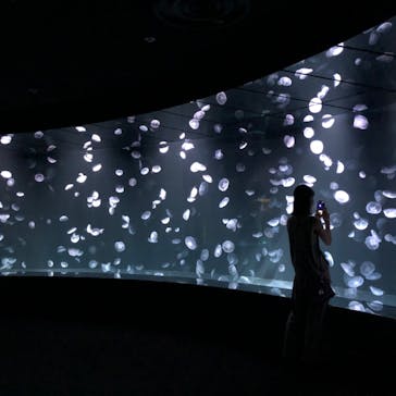 サンシャイン水族館に投稿された画像（2020/8/28）