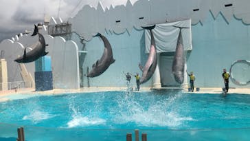 株式会社Gに投稿された画像（2020/8/28）