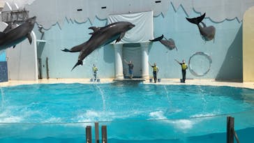 株式会社Gに投稿された画像（2020/8/28）