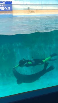 下田海中水族館に投稿された画像（2020/8/28）