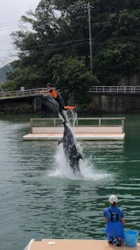 下田海中水族館に投稿された画像（2020/8/28）
