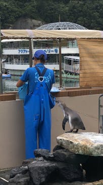 下田海中水族館に投稿された画像（2020/8/28）