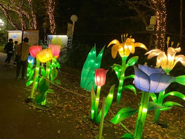 としまえんに投稿された画像（2020/8/28）