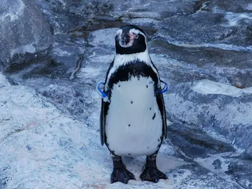 アクアワールド茨城県大洗水族館に投稿された画像（2020/8/28）