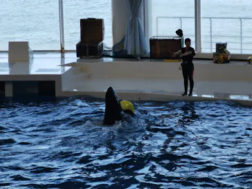 アクアワールド茨城県大洗水族館に投稿された画像（2020/8/28）