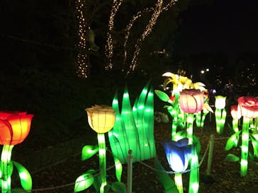 としまえんに投稿された画像（2020/8/28）