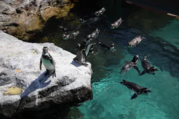 アクアワールド茨城県大洗水族館に投稿された画像（2020/8/28）