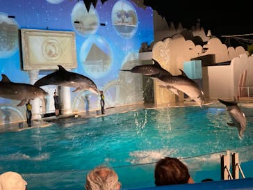 株式会社Gに投稿された画像（2020/8/28）