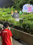 としまえんに投稿された画像（2020/8/28）