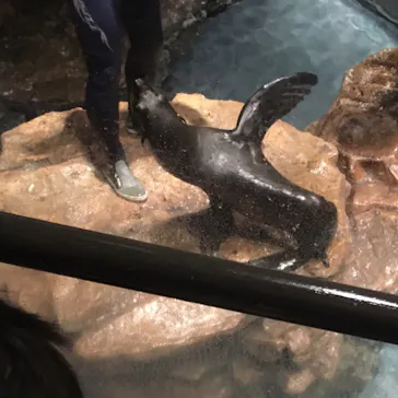 すみだ水族館に投稿された画像（2020/8/28）