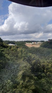 よみうりランド 遊園地に投稿された画像（2020/8/28）