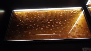 東京スカイツリーに投稿された画像（2020/8/28）