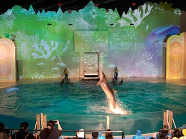 株式会社Gに投稿された画像（2020/8/28）