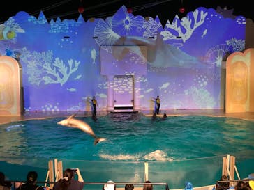 株式会社Gに投稿された画像（2020/8/28）