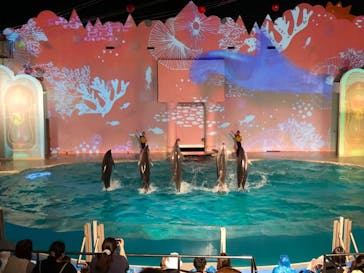 株式会社Gに投稿された画像（2020/8/28）