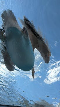サンシャイン水族館に投稿された画像（2020/8/28）